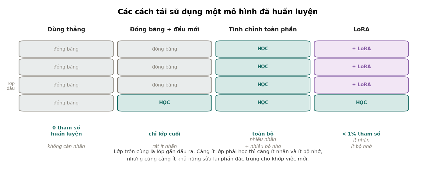 Hình 5
