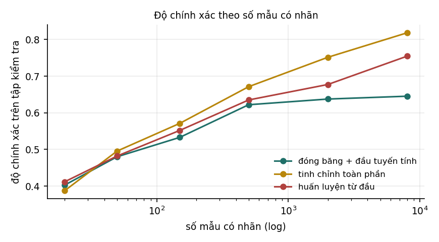 Hình 6