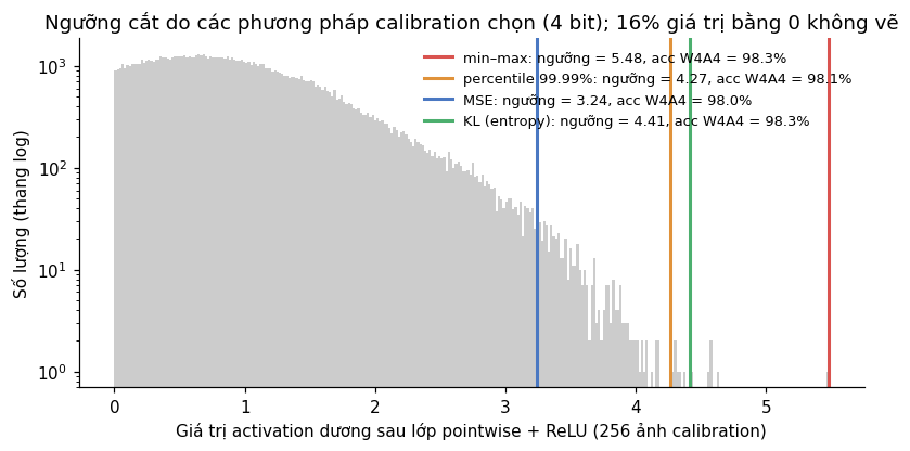 Hình 11