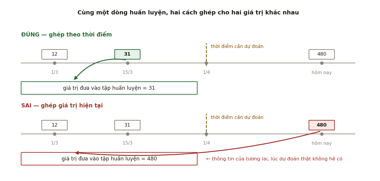Hình 5