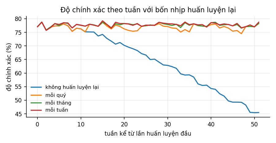 Hình 13