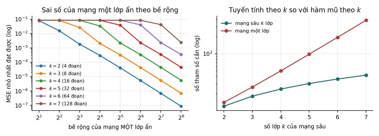 Hình 5