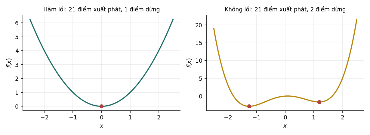 Hình 8
