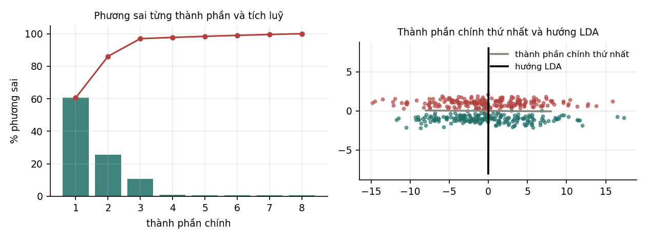 Hình 10