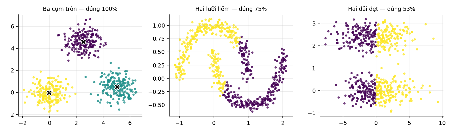 Hình 11