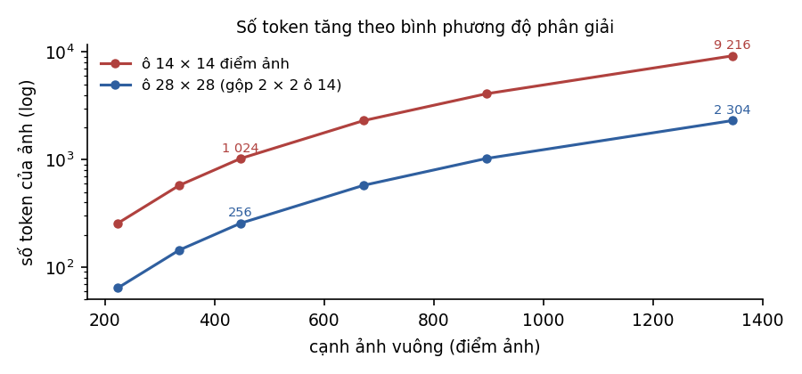 Hình 15